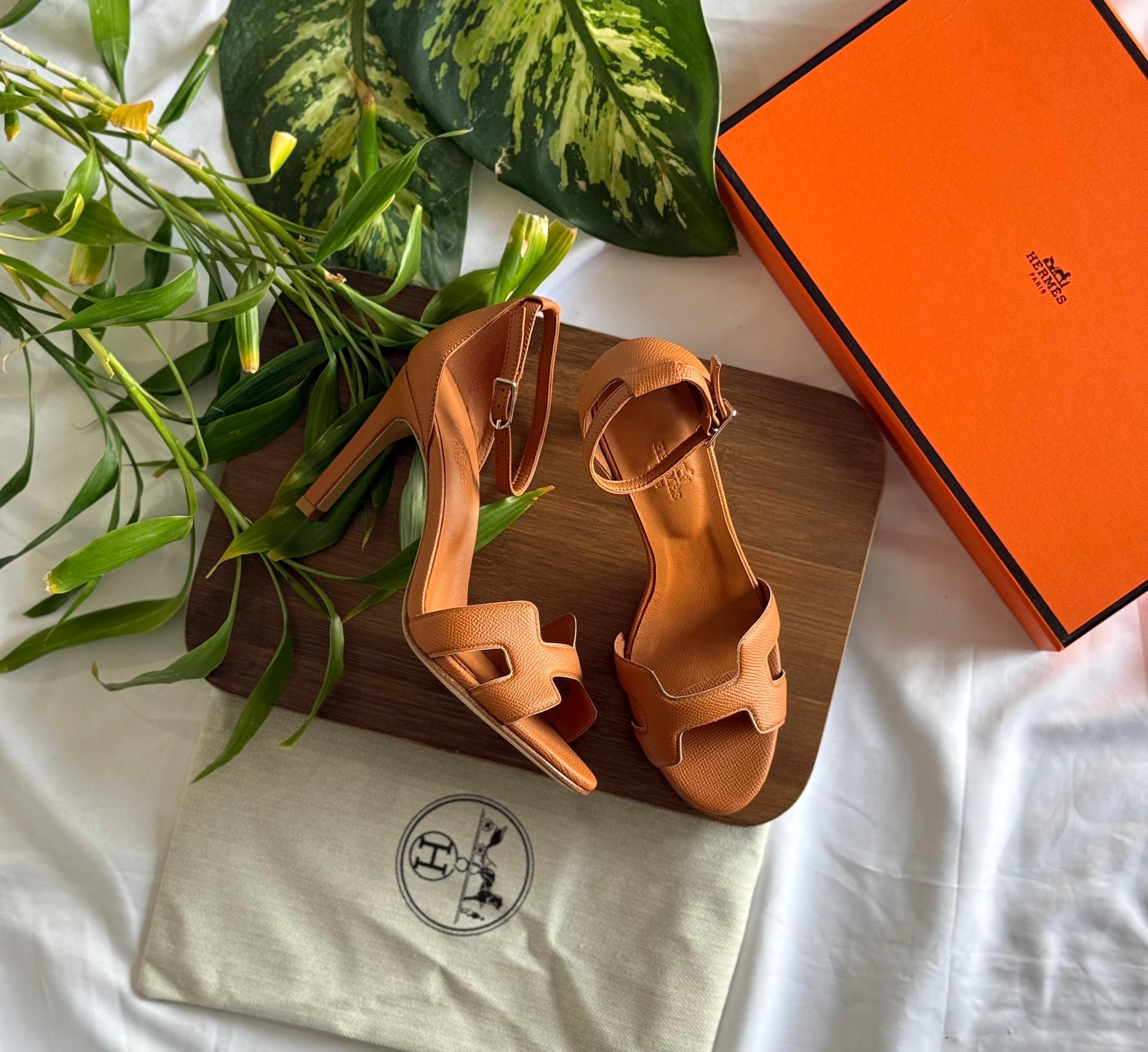 Assorted Hermes Footwear Collection with Signature Packaging